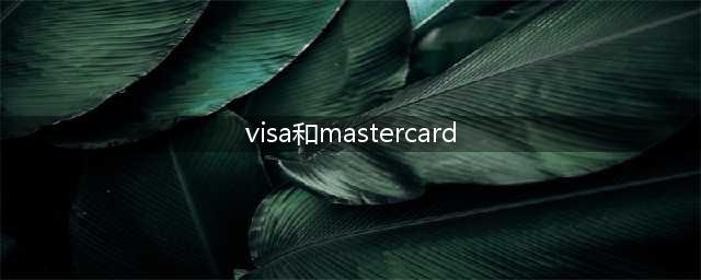 国内visa和mastercard的区别是什么(visa和mastercard)