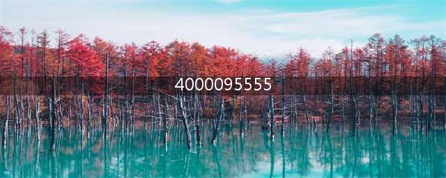 4000095555是什么电话可以简单介绍一下吗(4000095555)