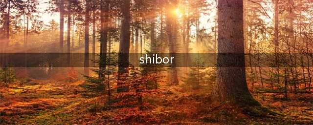 shibor上涨和下跌意味着什么(shibor)