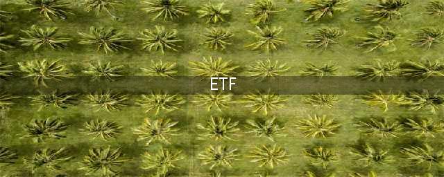ETF、LOF、FOF、QDII各自是什么基金？