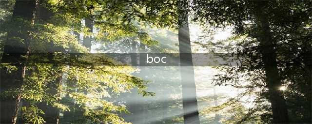 boc是什么意思(boc)