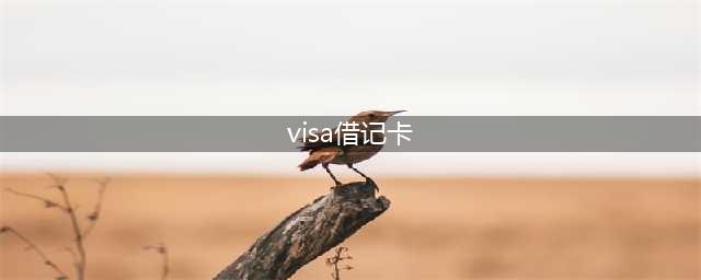 visa有借记卡吗(visa借记卡)