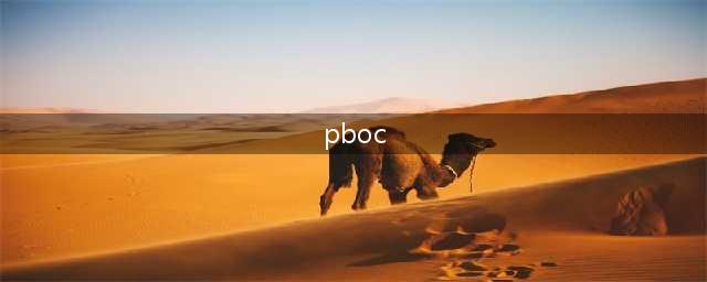 pboc电子现金什么意思(pboc)