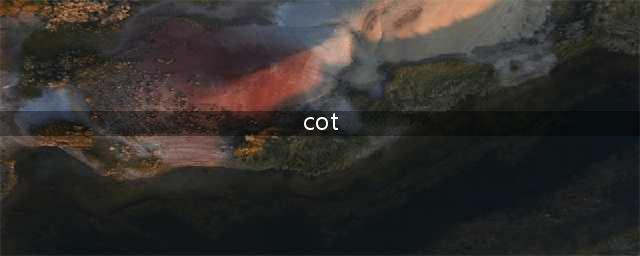 保险里的cot是什么意思(cot)