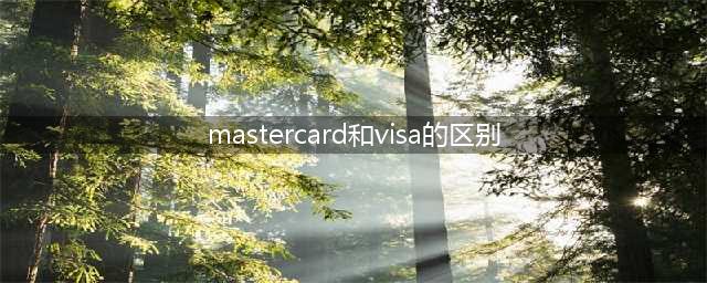 MasterCard和Visa的区别有什么(mastercard和visa的区别)