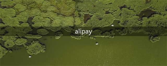 alipay是什么意思中文翻译，alipay相关知识介绍(alipay)