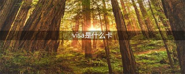 visa银联双标识卡介绍，银联和visa哪个好(visa是什么卡)