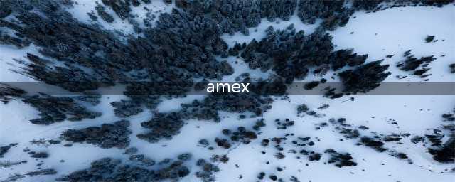 amex是哪个交易所(amex)