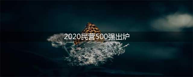 2020年民企500强名单，民企500强的总体情况与特点(2020民营500强出炉)