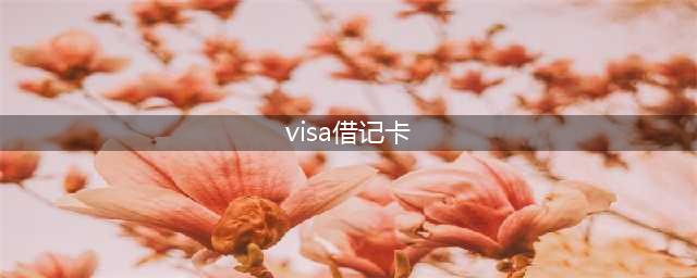 中国银行visa卡：visa借记卡和visa信用卡(visa借记卡)