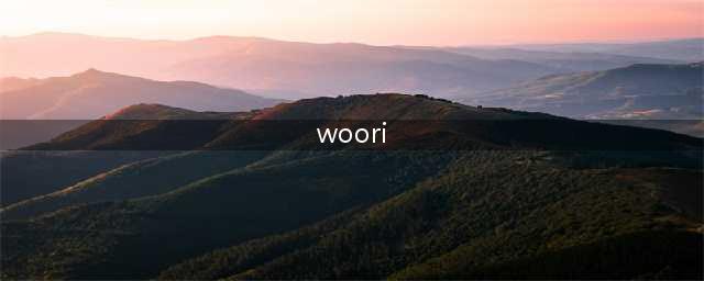 woori bank是什么银行(woori)