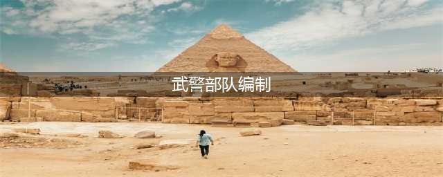 解读：我国武警部队编制，中队、大队、支队各有多少人？(武警部队编制)