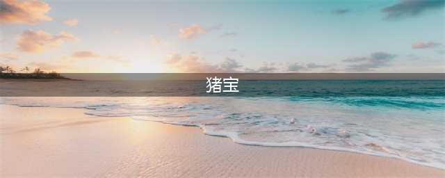猪宝是什么？有价值吗？(猪宝)