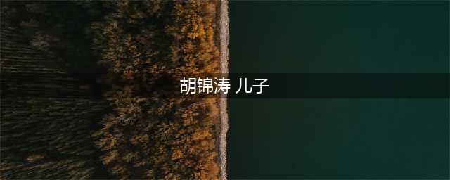 “70后”胡海峰任民政部副部长，成目前该部在任最年轻副部长(胡锦涛 儿子)