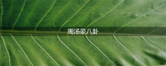 欧弟被曝深夜醉酒抱柱子打电话！前妻玩转绯闻，感情曲折撕心裂肺(周汤豪八卦)