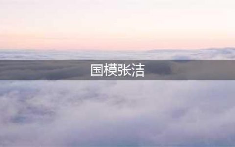 模卡 推荐艺人：张洁(国模张洁)