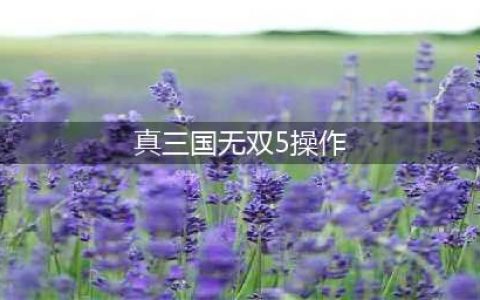 真三国无双5攻略 真三国无双5出招表攻略介绍(真三国无双5操作)