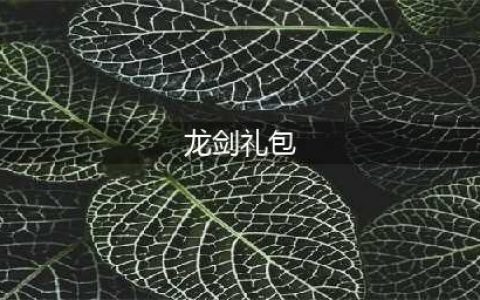 生死忍者龙剑传礼包大全 礼包和激活码领取攻略(龙剑礼包)