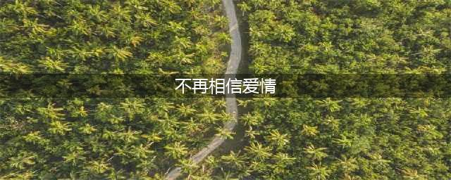 很多人不再相信爱情了，大多因为这四个方面的原因(不再相信爱情)