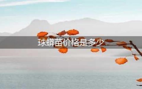 蛇中“贵族”蓝血绿树蟒，价值已超300万，至今无法人工培育(球蟒苗价格是多少)