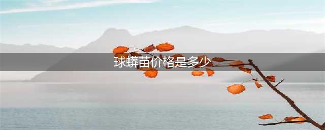 蛇中“贵族”蓝血绿树蟒，价值已超300万，至今无法人工培育(球蟒苗价格是多少)