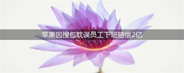苹果因搜包耽误员工下班赔偿2亿，背后内幕让人唏嘘！(苹果因搜包耽误员工下班赔偿2亿)