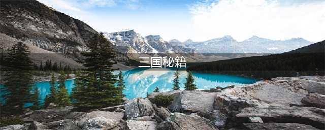 《三国志12》秘籍有哪些 秘籍代码一览(三国秘籍)