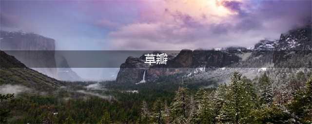 611：为何奇花类壮草瓣子多(草瓣)