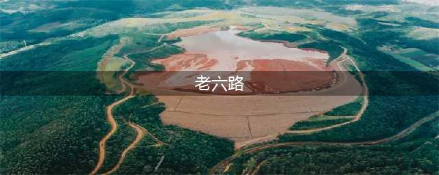 原汁原味杨氏太极拳（老六路）八十九式(老六路)