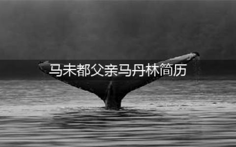 马未都是名人，他的父亲也大有来头，曾奉命进京建设空军！(马未都父亲马丹林简历)