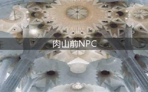 泰拉瑞亚肉山前npc怎么分配