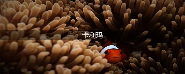 《星际守望者》潜行者卡利玛技能详解