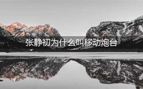 张静初出道3年成影后,被称为“移动炮台“遭导演太太团封,今怎样(张静初为什么叫移动炮台)