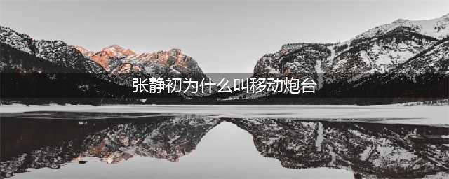 张静初出道3年成影后,被称为“移动炮台“遭导演太太团封,今怎样(张静初为什么叫移动炮台)