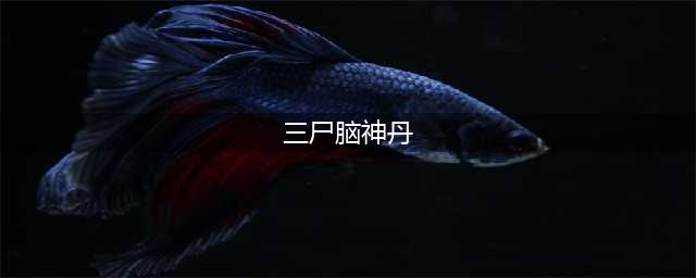 《新笑傲江湖》 “三尸脑神丹”到底是什么鬼？
