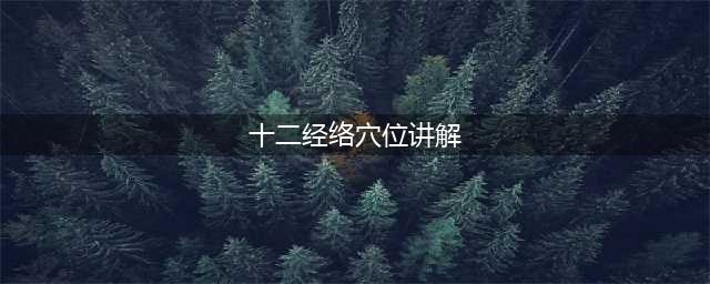 人体十二大经络361个穴位讲解及功效(十二经络穴位讲解)