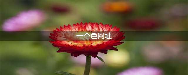 今天认真的推荐几个搞颜色的网站，非标题党!(一个色网址)