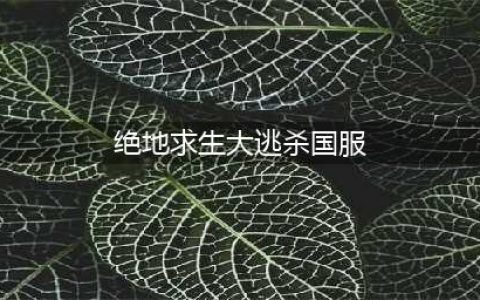 《绝地求生：大逃杀》国服什么时候上线 国服上线时间预测(绝地求生大逃杀国服)