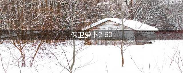 保卫萝卜2第60关怎么过