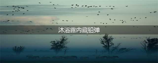 三千铅弹沉入沐浴露过机酷似“珍珠奶茶” 港女涉走私弹药被查(沐浴露内藏铅弹)
