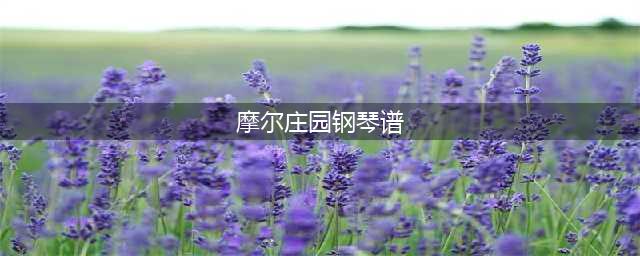 《摩尔庄园手游》钢琴谱大全 钢琴谱弹奏简谱汇总