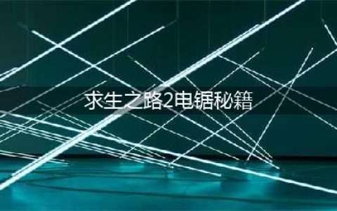 求生之路2秘籍怎么开不了 求生之路2秘籍代码大全(求生之路2电锯秘籍)