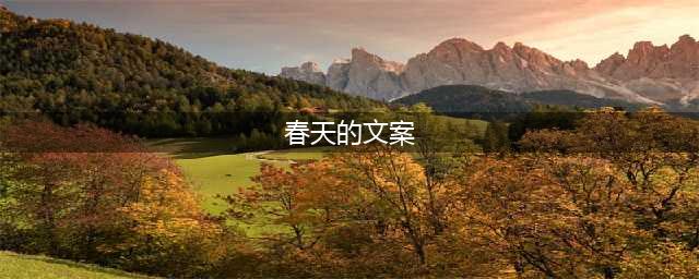 100句温暖美好的春天文案，每一句都赞爆！！！(春天的文案)