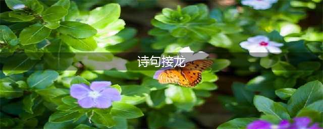 诗词接龙，句句都是经典，值得收藏背诵！(诗句接龙)