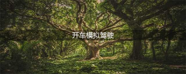 手机开车模拟驾驶游戏大全2021 十大开车模拟驾驶手游排行榜(开车模拟驾驶)