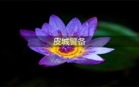皮城警备有什么英雄(皮城警备)