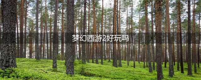 梦幻2好玩吗 梦幻2玩法简介(梦幻西游2好玩吗)