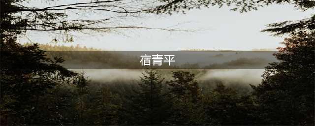 独家•重磅 ▎别了，宿青平！(宿青平)