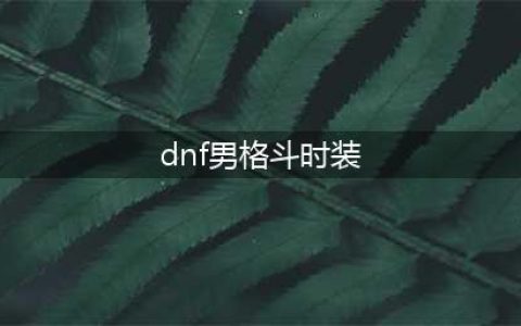 DNF希尔斯精品店第二周男格斗单件时装选择推荐