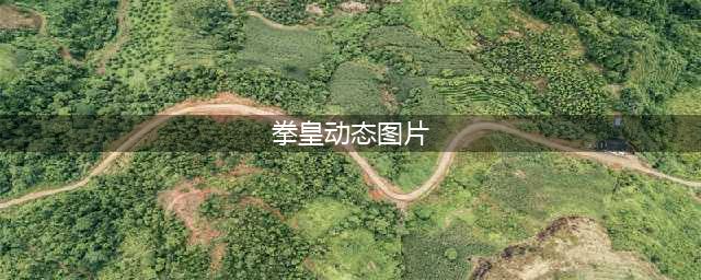 《拳皇世界》聊天斗图必备 老拳皇动图表情集